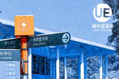 最新“双一流”高校版图 谁是真正的“高教强省”
